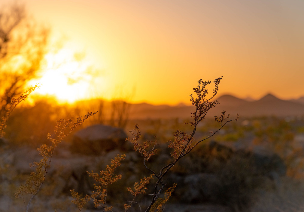 winter golden hour